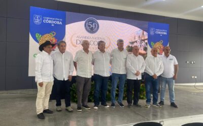 Reelegidos directivos en ACORD COLOMBIA